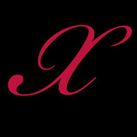 Logo Xotic AI